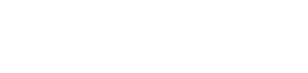 speedlogist_logo